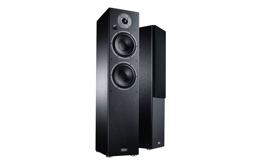 The best wireless floor standing speakers this summer 2022 8 Image