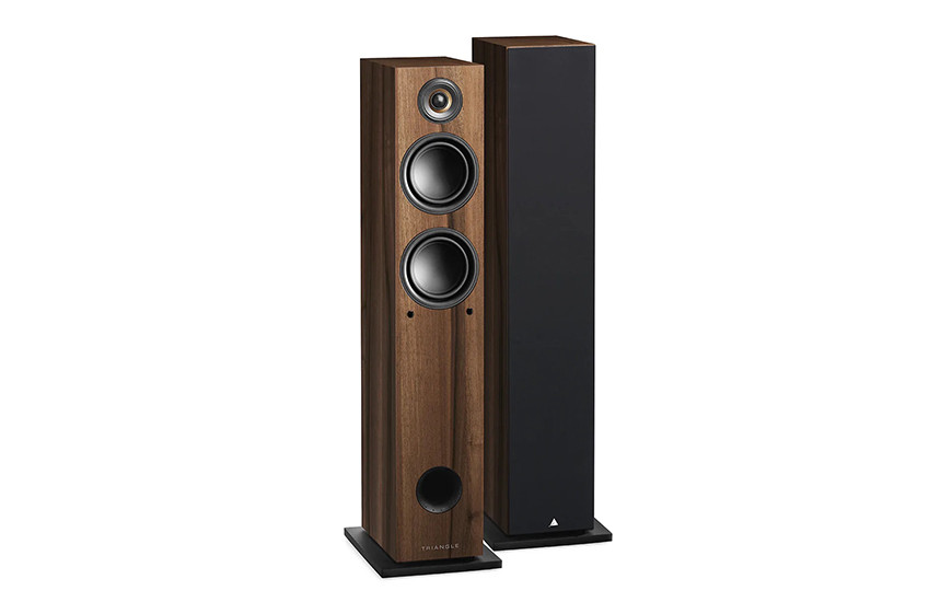 The best wireless floor standing speakers this summer 2022 10 Image