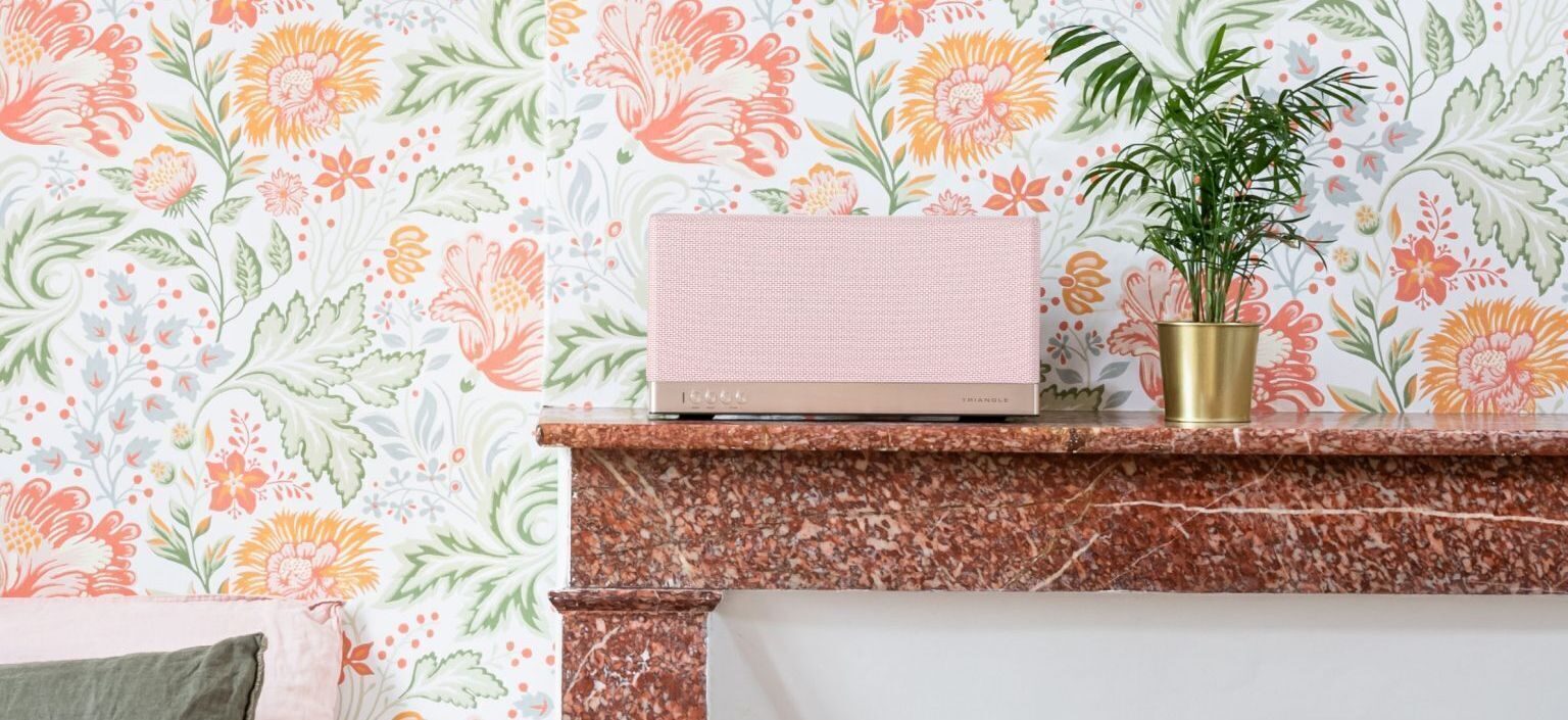 Triangle AIO 3 Bluetooth Speaker Launched in Limited Spring Season Colors 9 221 techweek