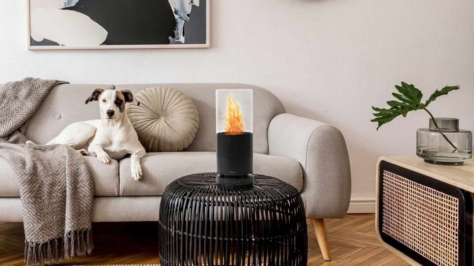 Audioblock The Flame: Wireless speaker on fire 8 The Cool Dog seems to like the Cool flaming speaker