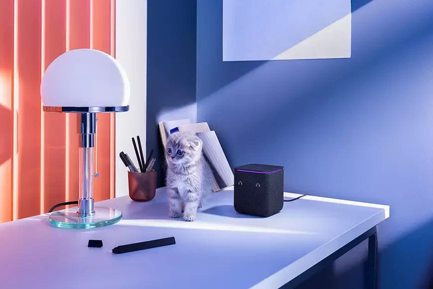 Yandex Station Midi: A compact speaker with powerful sound and new Alice features 11 Here is a cat and Yandex Station Midi. Nice :)