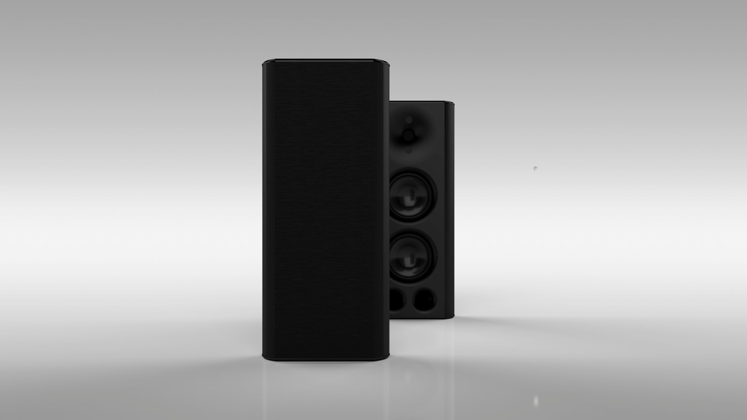 Theory Audio Design sb25aw: Wall-mounted speaker as versatile as a Swiss Army knife 9 sb25aw multifunctional wall-mounted speaker, an all-weather version (4 Ohm or 70 V / 100 V) of the branded sb25 model.