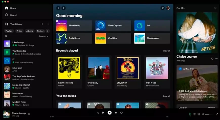 Which Hi-Res and Hi-Fi Streaming Service to choose in 2024? 8 6. Spotify Premium/HiFi