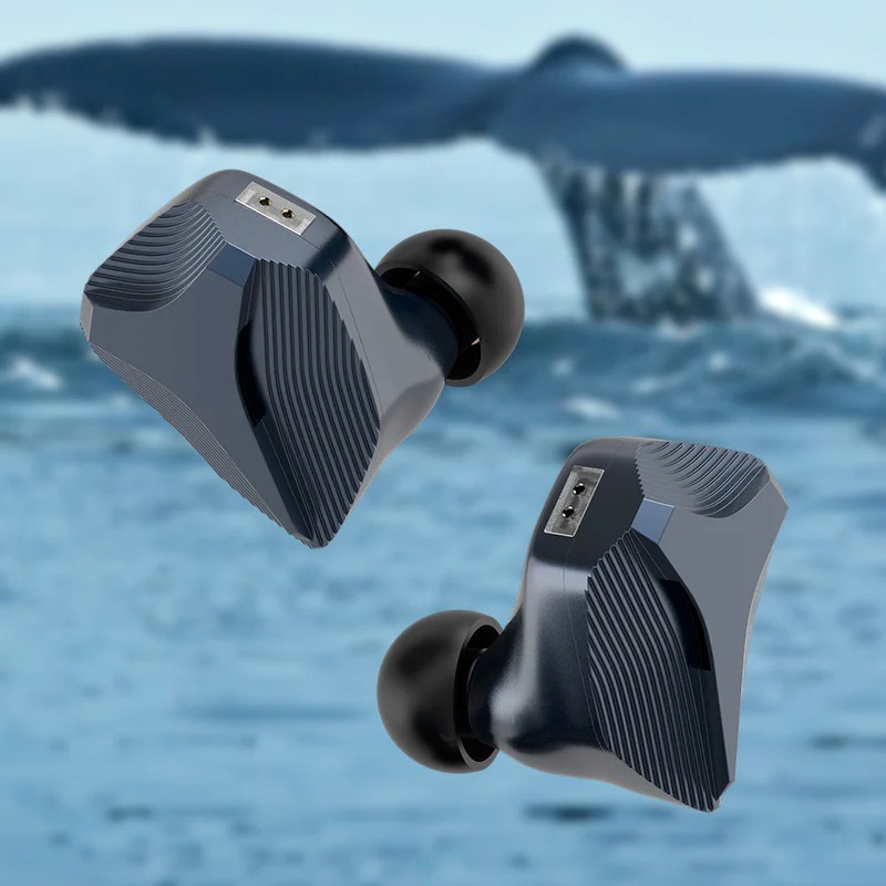 Hidizs MP145: Ultra-large Planar Magnetic HiFi In-ear Monitors 10 Pasted 2