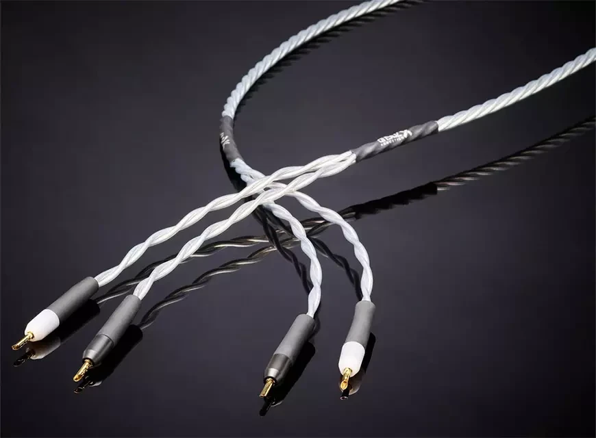 Best speaker cables: Achieving high-quality sound 12 4. Ansuz Acoustics Speakz X2