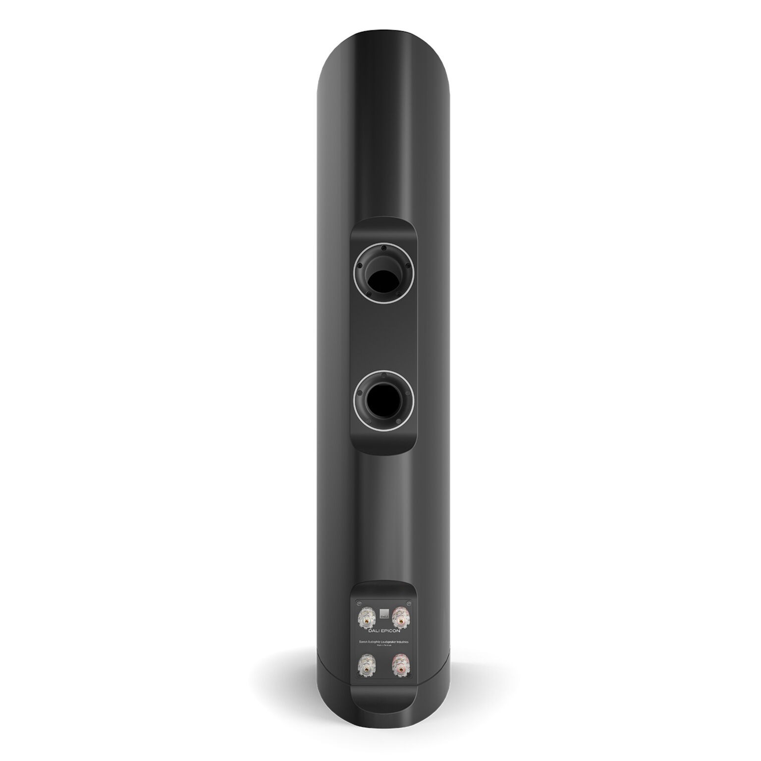 DALI EPICON 6: High-end speakers boasting world-class performance 11 DALI EPICON 6 3