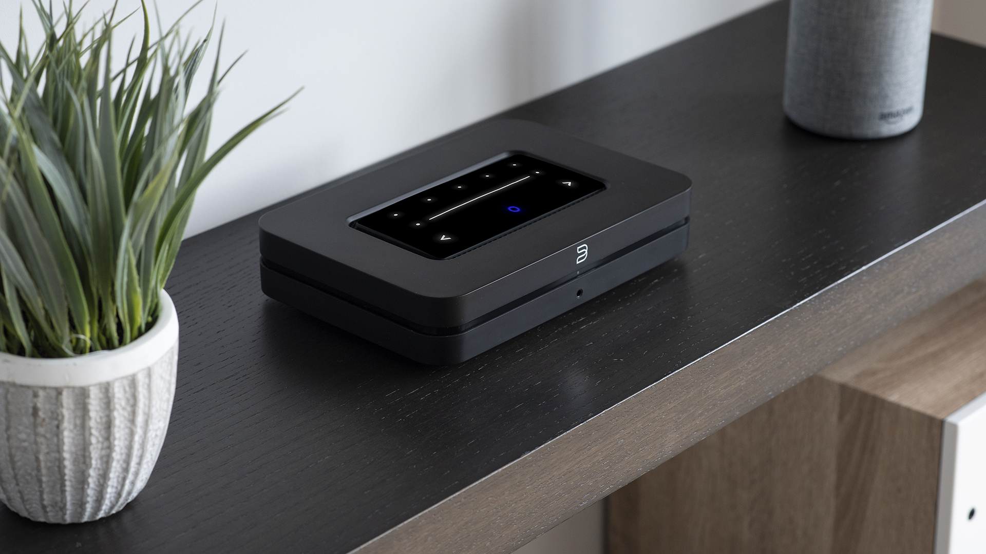 Dirac and Bluesound work together to make selected devices suitable for Dirac Live 8 20240625175503 2024 06