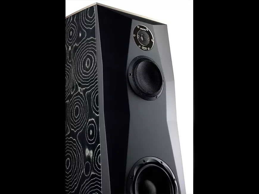 Alare Remiga 2 Be: Exclusive speaker equipped with a beryllium tweeter 10 Acoustic systems Alare Remiga 2 Be