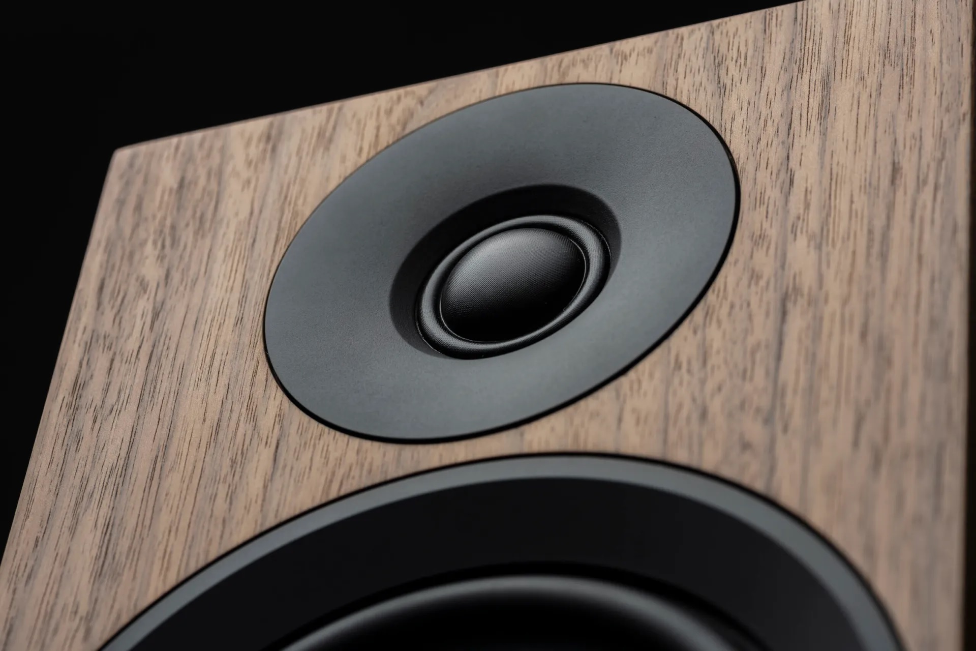 Pro-Ject Speaker Box 5 Carbon: Upgraded speakers from Austria 14 20241216201856 2024 12 16 Pro
