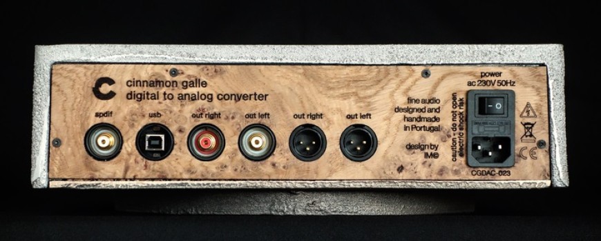 Cinnamon Galle: Might be the most unique DAC you have ever seen 8 Cinnamon Galle inputs and outputs