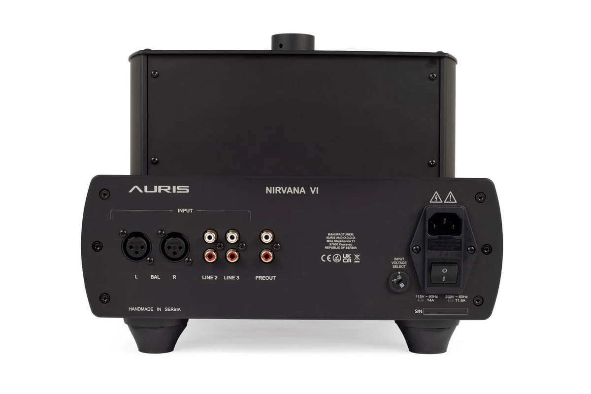 Auris Nirvana VI: Multifunctional Headphone amplifier with tubes 10 Auris Nirvana VI Inputs and outputs