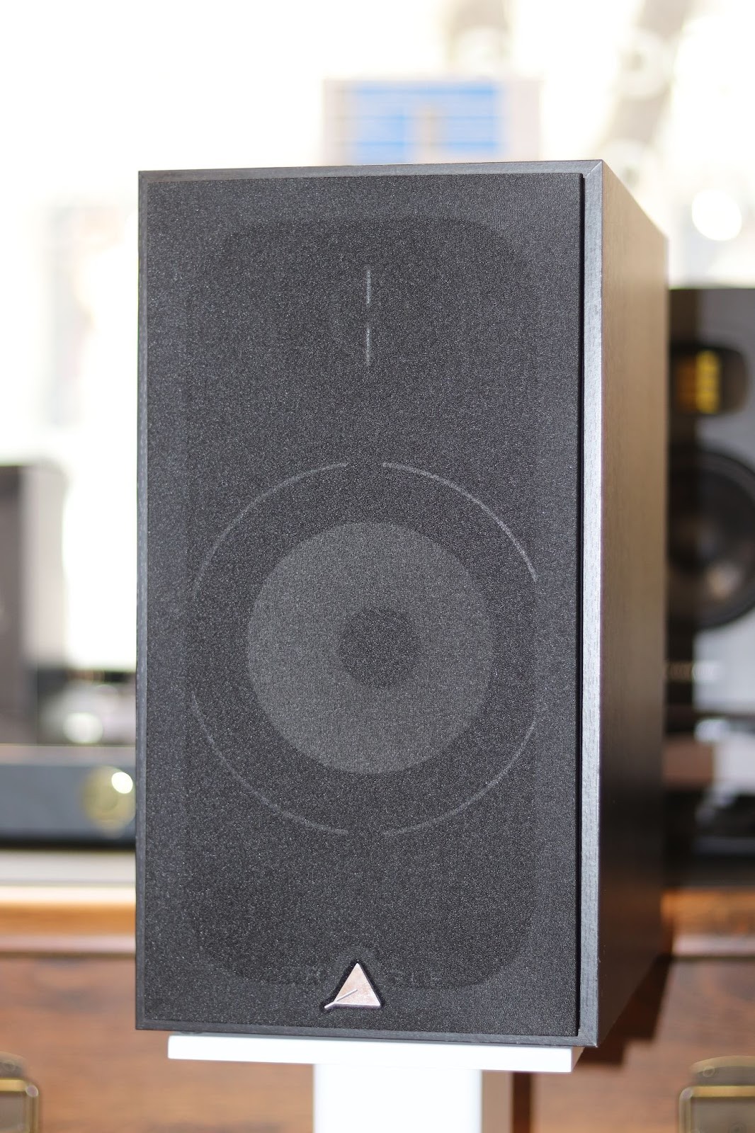 Triangle Borea BR03 Review: When “Good” Sound Just Feels Right 12 Triangle Borea BR03 have a bright sound, which is closer to a warm shade. The midrange, thanks to the paper diffuser, transmits vocal parts very well, but these speakers also handle fairly hard riffs by Metallica without any problems.