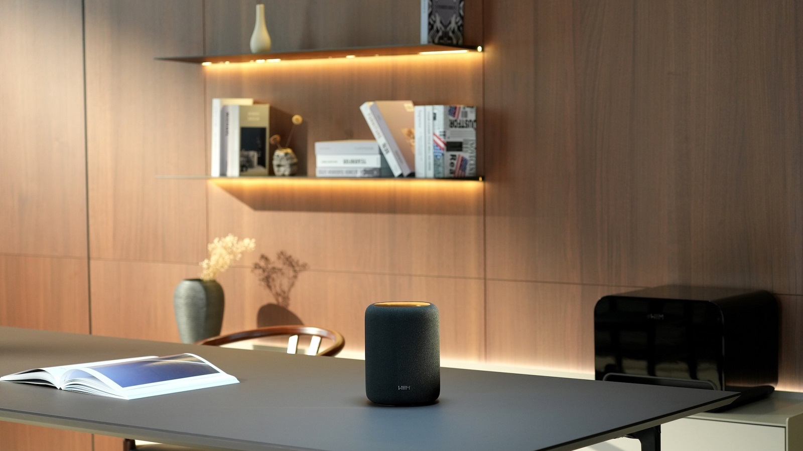 WiiM Sound Lite: Compact Smart Speaker with Hi-Res Audio 8 20251212105333 2025 12